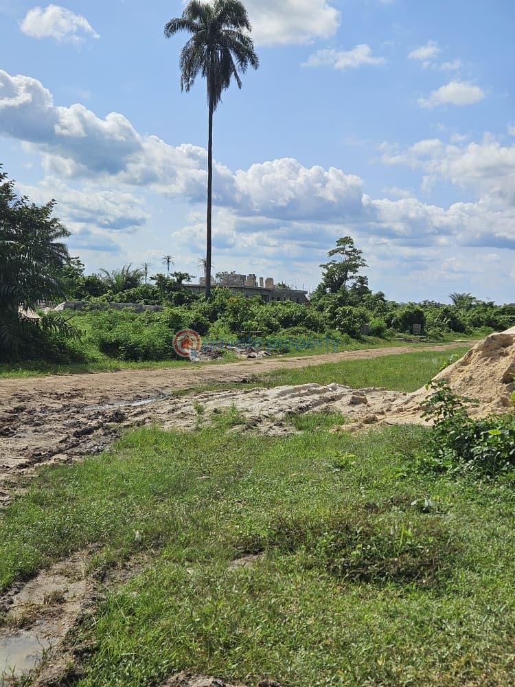 Residential Land For Sale Newtown Garden Estate, Rukpokwu, Obirikwere Link Road Port Harcourt Rivers - 7