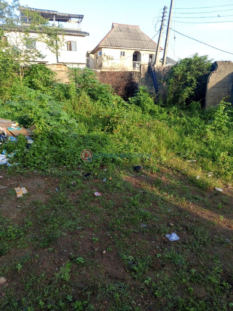 Land For Sale Ekoro Junction Abule Egba Lagos - 4