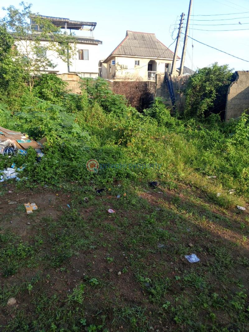 Land For Sale Ekoro Junction Abule Egba Lagos - 1