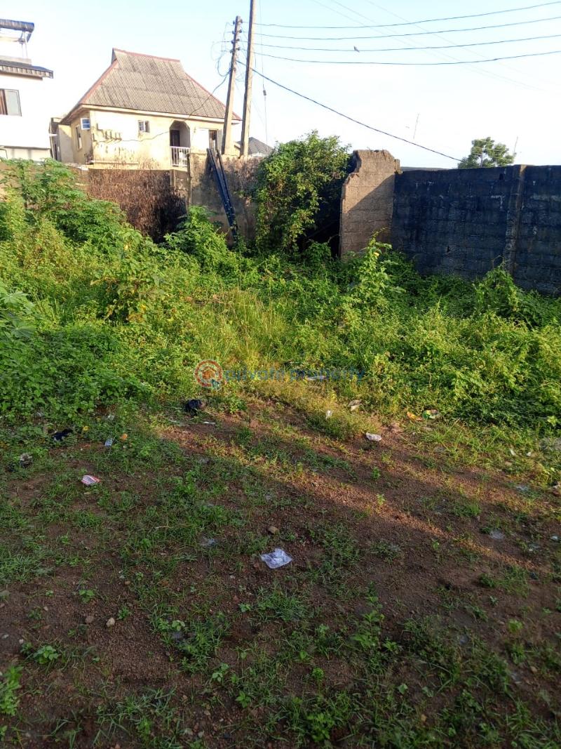 Land For Sale Ekoro Junction Abule Egba Lagos - 5