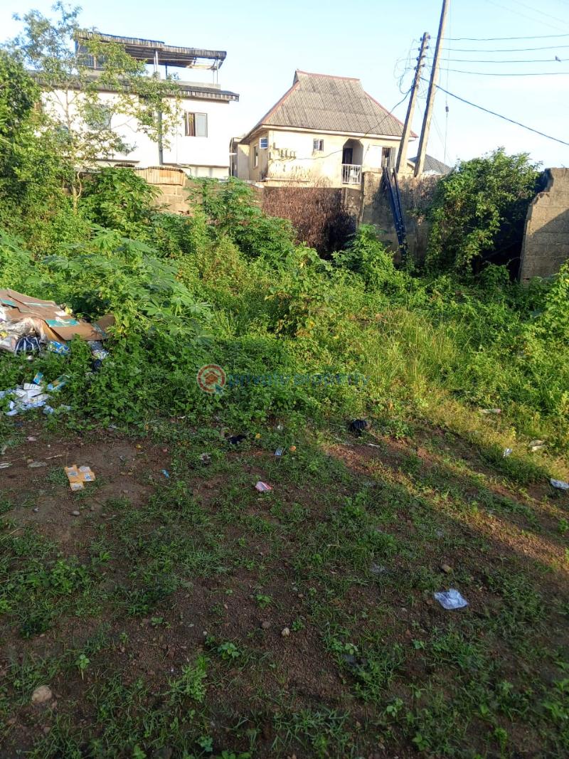 Land For Sale Ekoro Junction Abule Egba Lagos - 8
