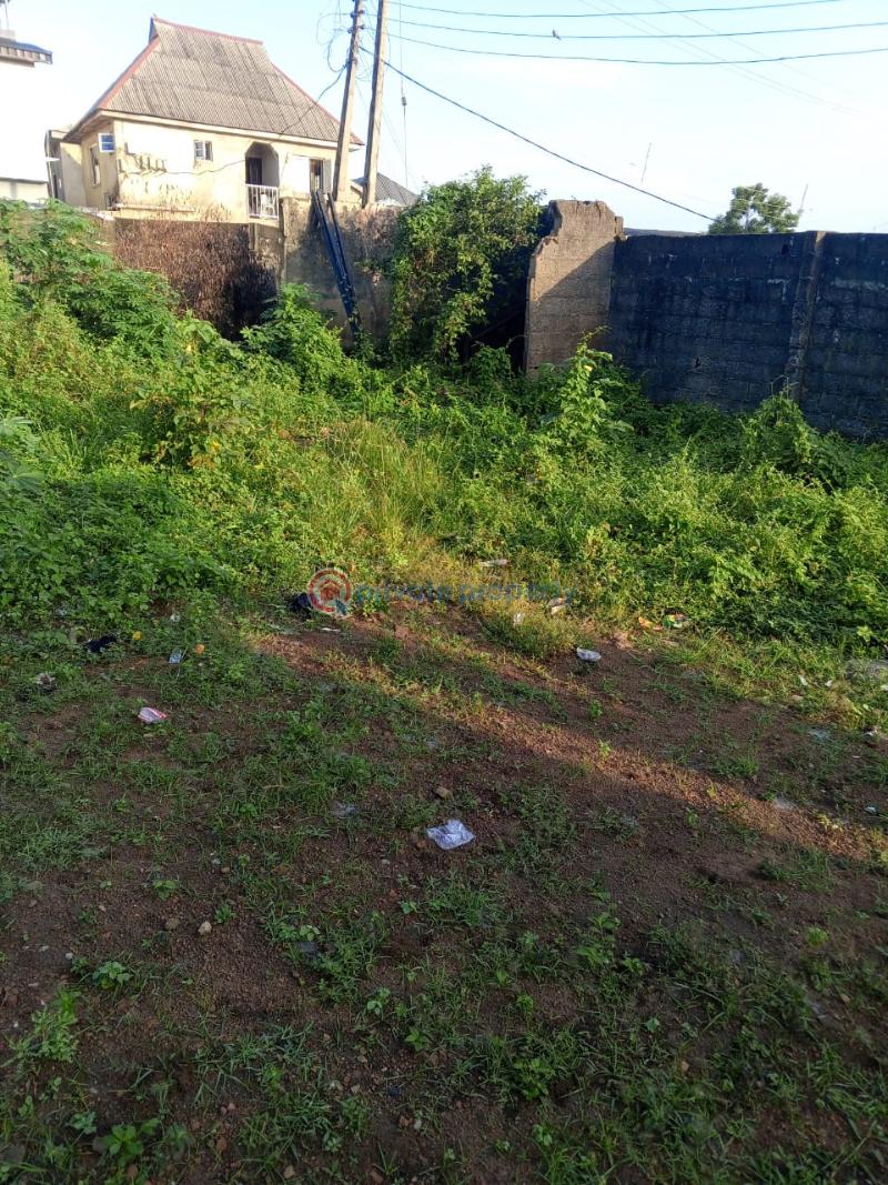 Land For Sale Ekoro Junction Abule Egba Lagos - 9