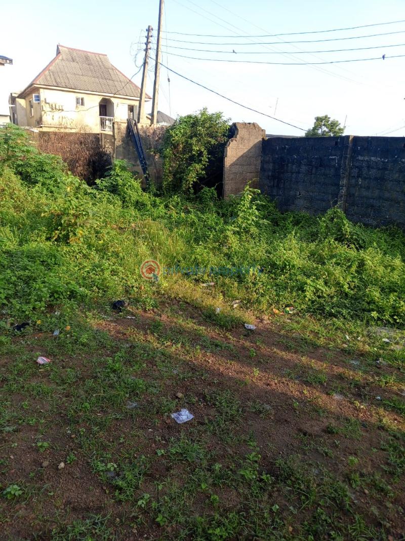 Land For Sale Ekoro Junction Abule Egba Lagos - 7