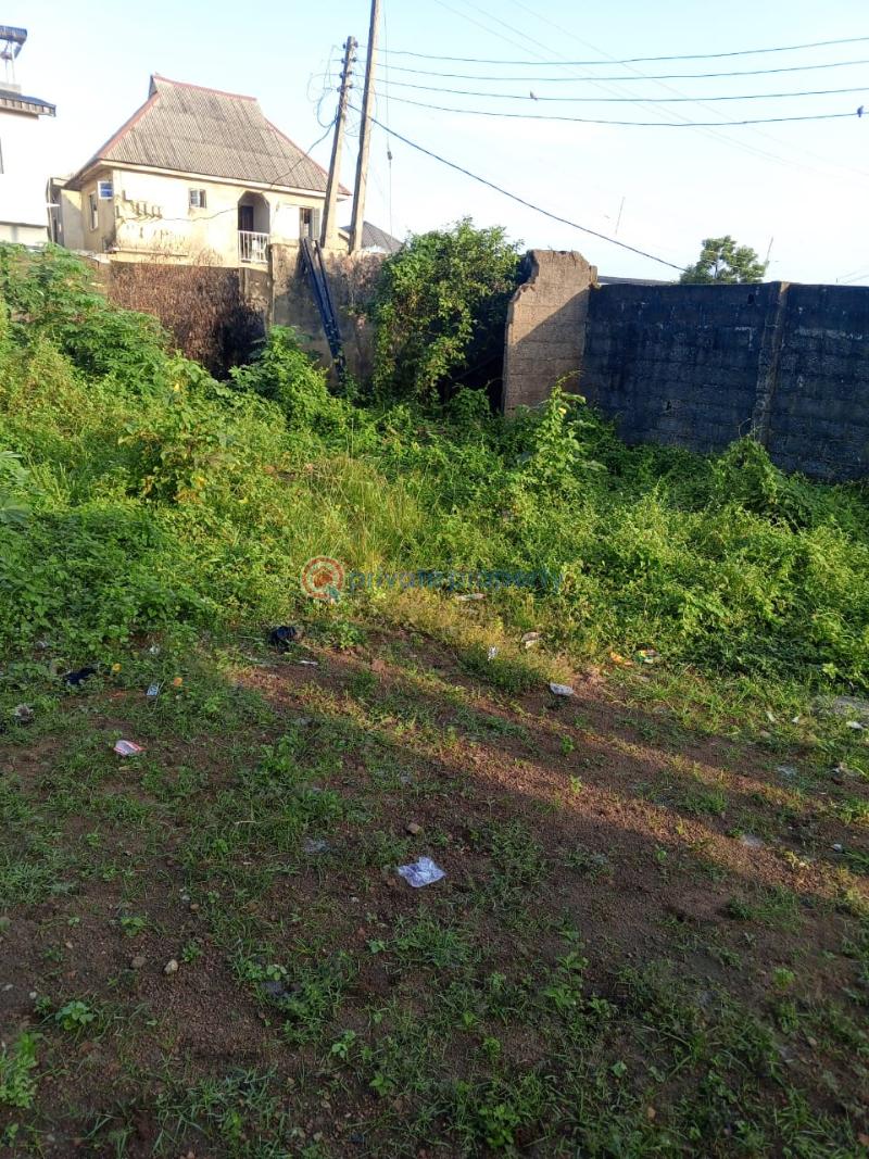 Land For Sale Ekoro Junction Abule Egba Lagos - 6
