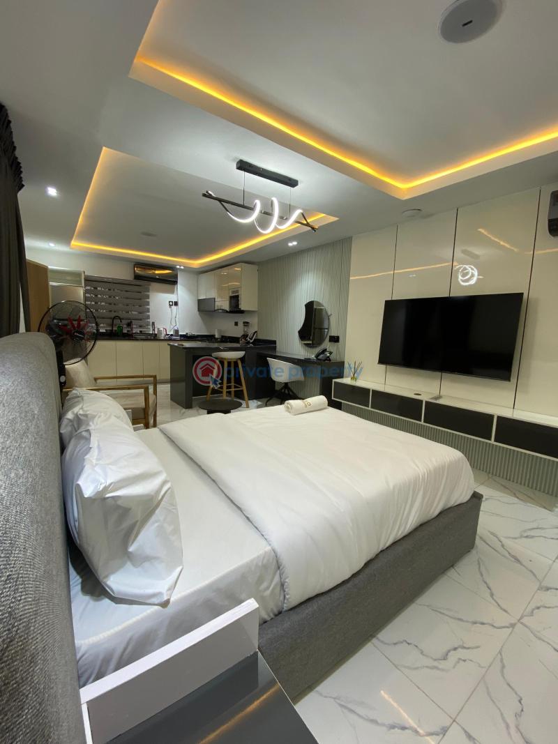 Nicely furnished studio apartment - 9 1 bedroom Flat & Apartment Short let Oniru Victoria Island Lagos - 9