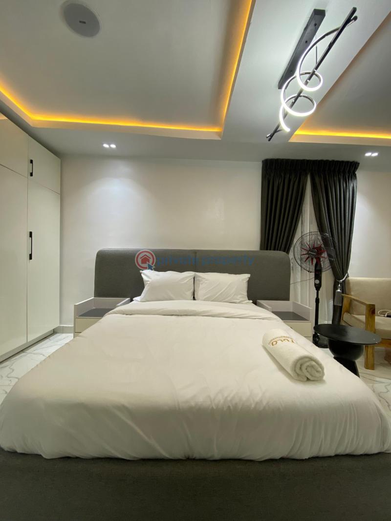 Nicely furnished studio apartment - 4 1 bedroom Flat & Apartment Short let Oniru Victoria Island Lagos - 4