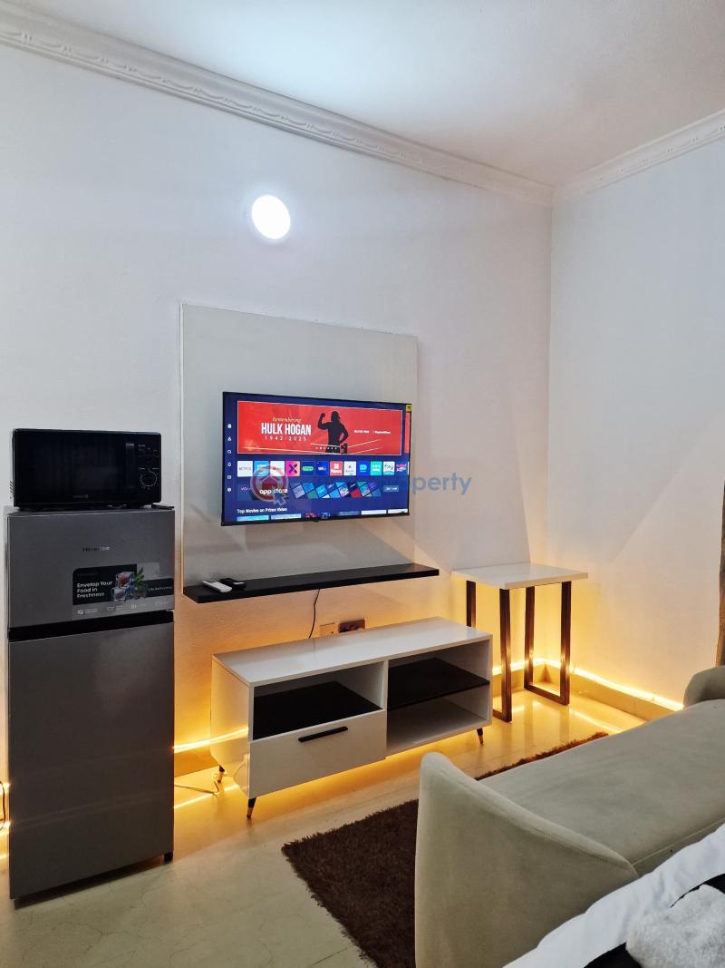 1 bedroom Flat & Apartment Short let Garki Abuja Phase 1  - 1