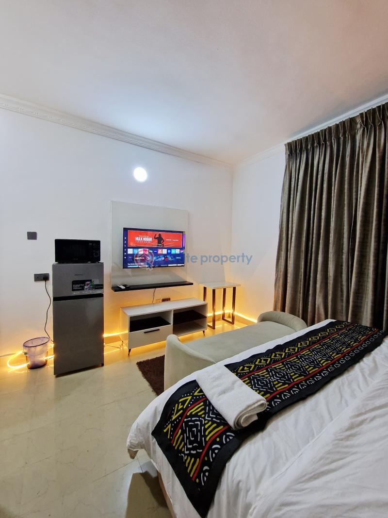 1 bedroom Flat & Apartment Short let Garki Abuja Phase 1  - 3