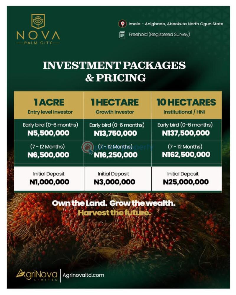 Mixed use Land For Sale Imala Onigbado Abeokuta Ogun - 3