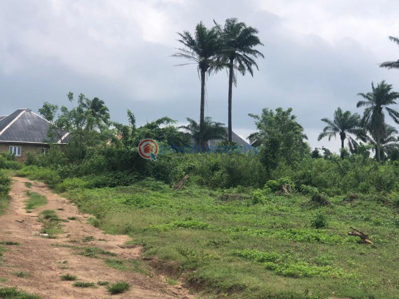 Residential Land For Sale 5 Mins Drive To The Railway Station Moniya Ibadan Oyo - 2
