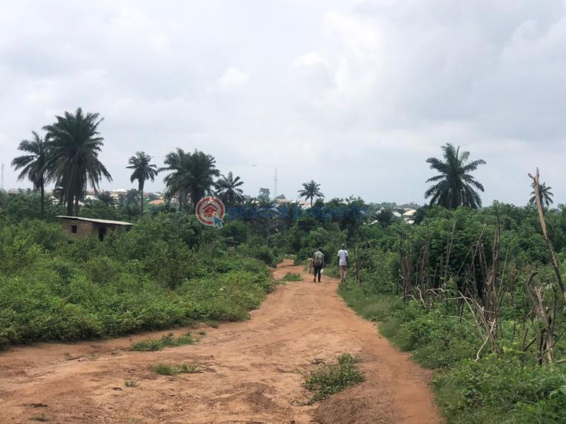 Residential Land For Sale 5 Mins Drive To The Railway Station Moniya Ibadan Oyo - 3