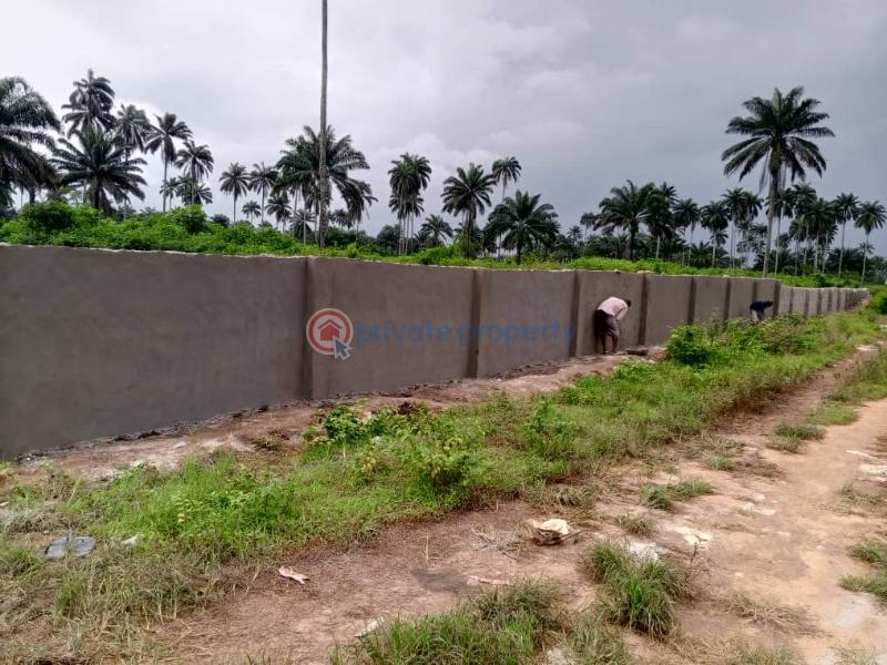 Mixed use Land For Sale Omagwa Ikwerre Rivers  - 2