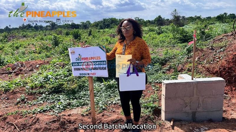 Residential Land For Sale Ikorodu Lagos - 2