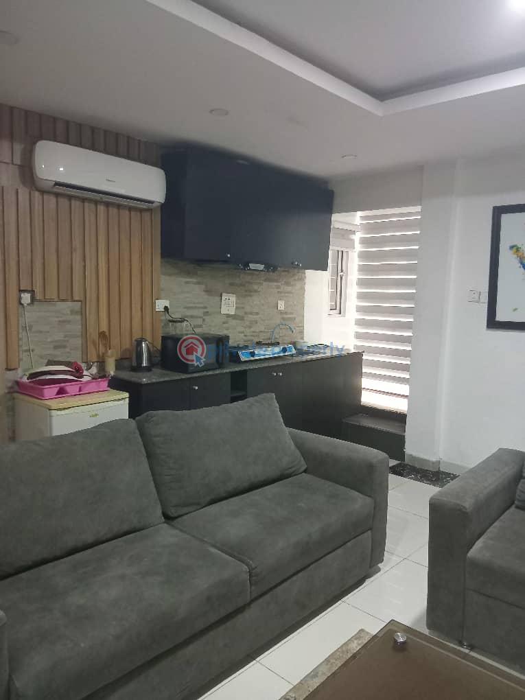 1 bedroom Mini Flat For Rent Lekki Phase1 Lekki Phase 1 Lagos - 8