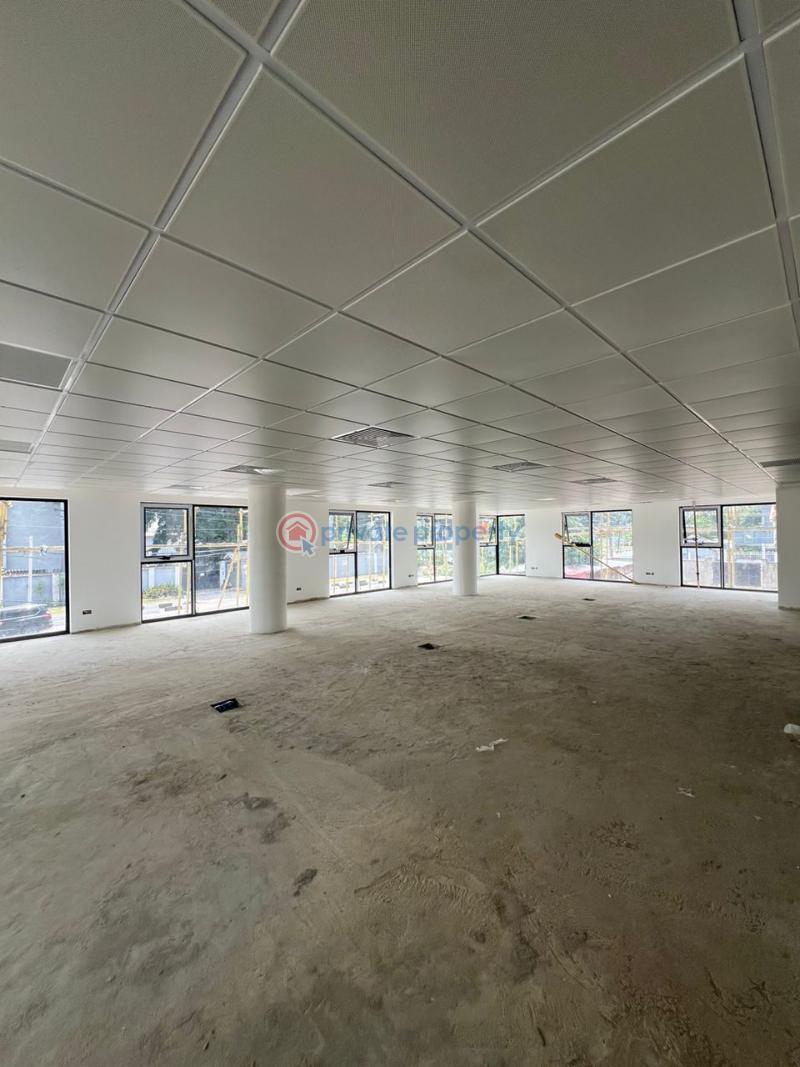 Mall/Complex/Plaza For Sale Old Ikoyi Ikoyi Lagos - 1