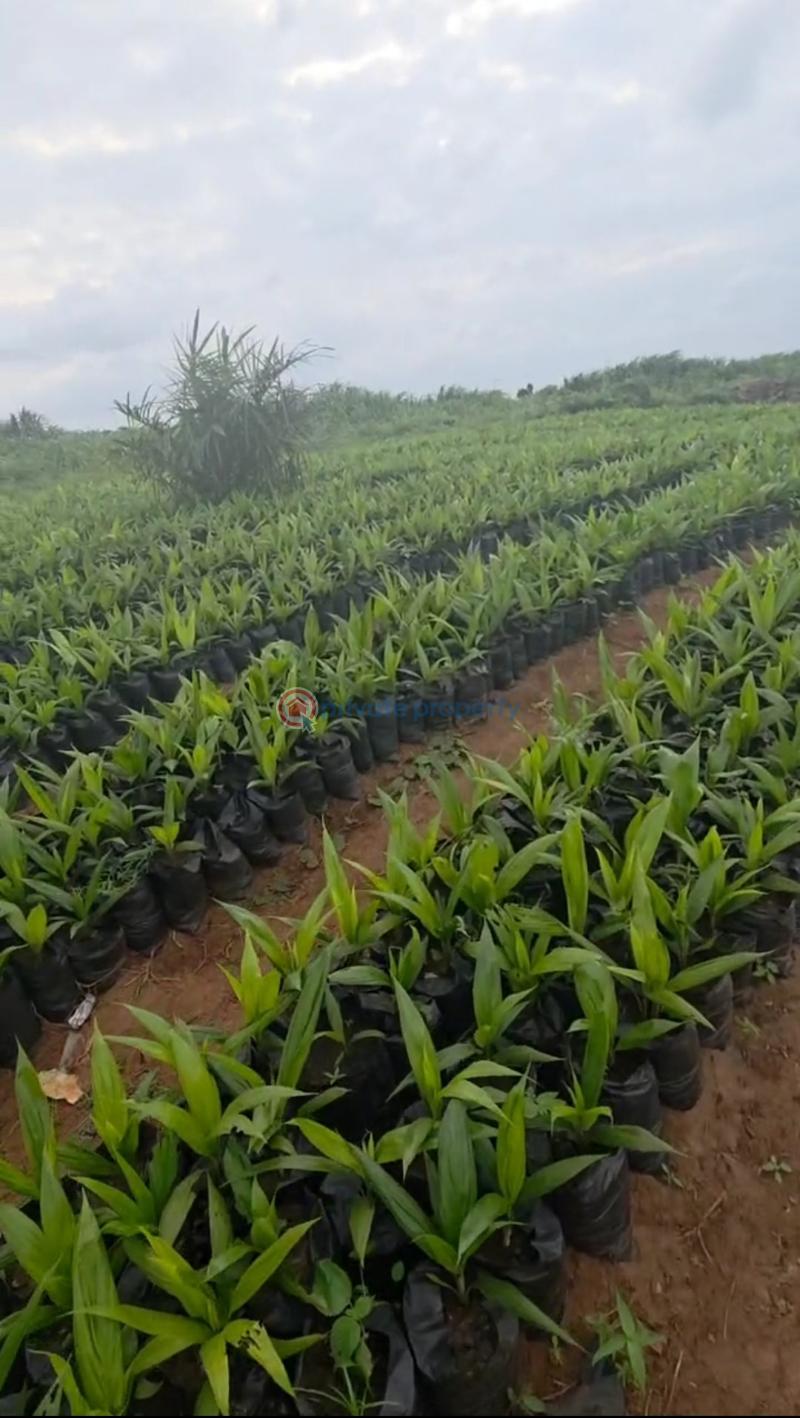 Mixed use Land For Sale Onigbedu Ewekoro, Ogun State. Ewekoro Ogun - 1