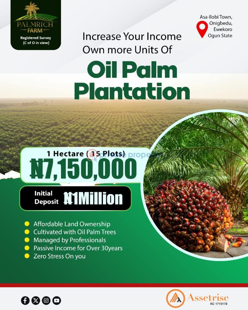 Mixed use Land For Sale Onigbedu Ewekoro, Ogun State. Ewekoro Ogun - 2