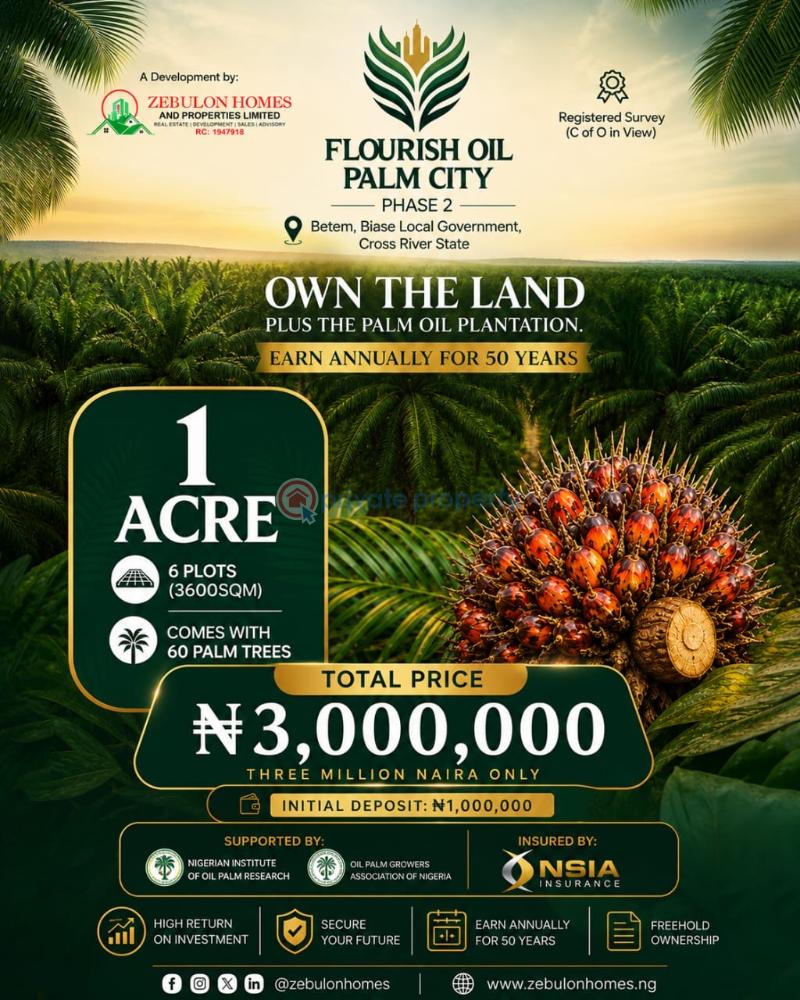 Commercial Land For Sale Flourish Oil Palm City Phase 2 Located At Betem Biase Local Government Biase Cross River - 0
