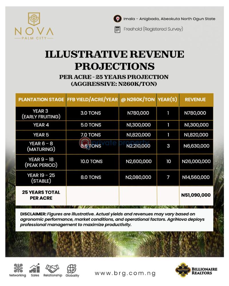 Commercial Land For Sale Nova Palm City Imala Anigbado Abeokuta North Lga Ogun State Ogun Ogun area  - 5
