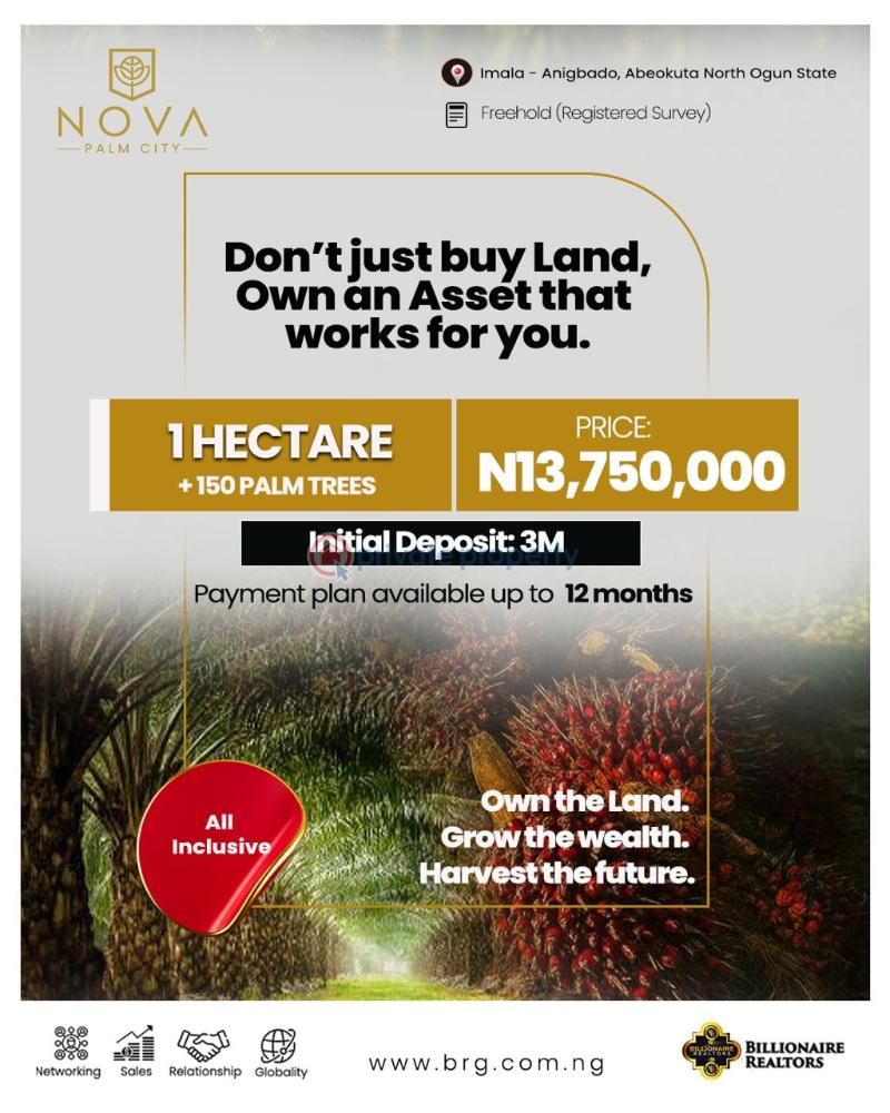 Commercial Land For Sale Nova Palm City Imala Anigbado Abeokuta North Lga Ogun State Ogun Ogun area  - 0