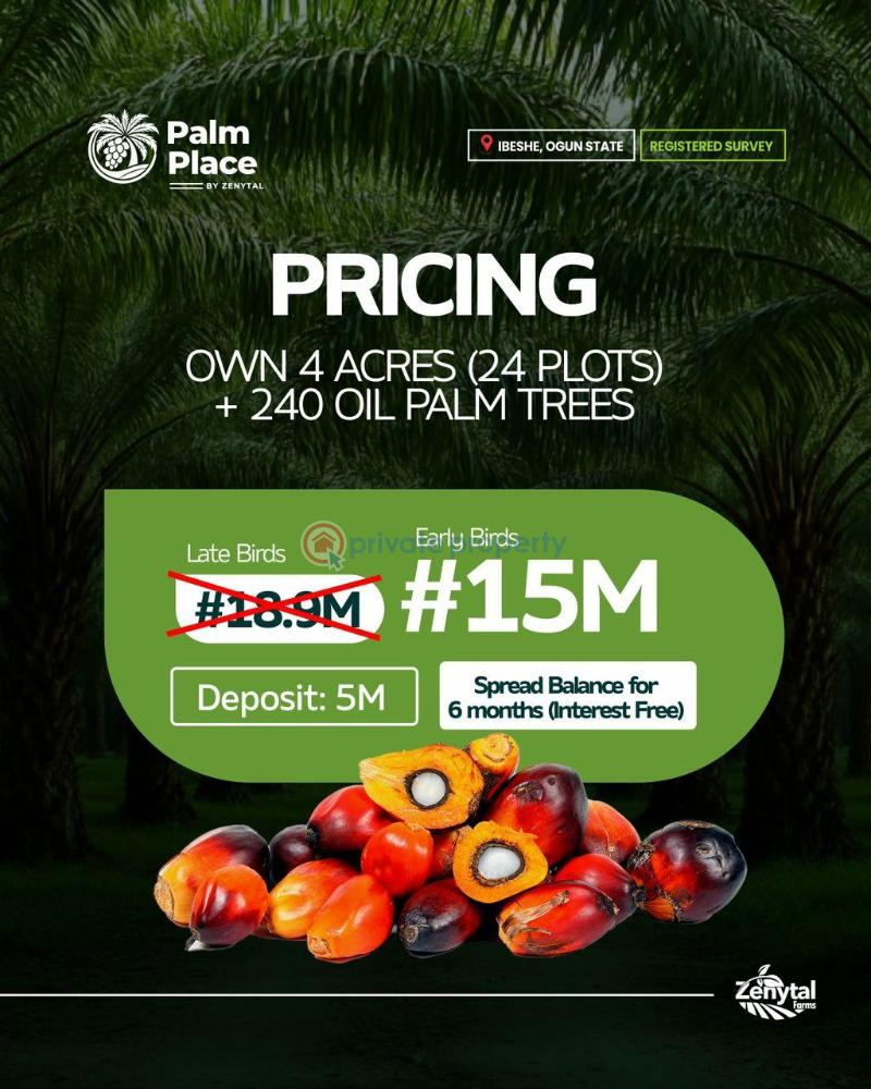 Commercial Land For Sale Palm Place Ibeshe Ogun State Ogun Ogun area  - 0