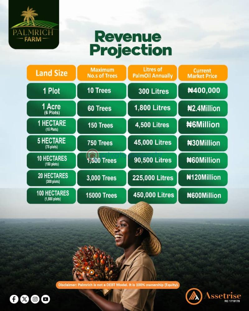 Commercial Land For Sale Palmrich Farm Asa Ilobi Town Onigbedu Ewekoro Ogun State Ogun Ogun area  - 4