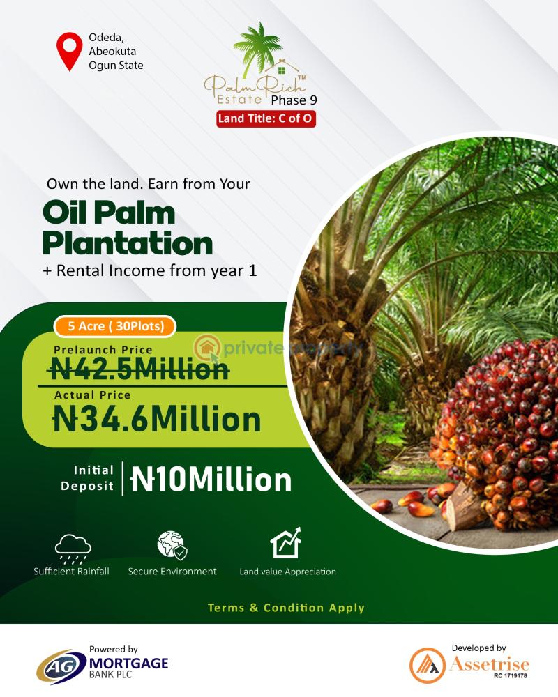 Commercial Land For Sale Palm Rich Estate Phase 9 Odeda Abeokuta Ogun State Abeokuta Ogun - 4