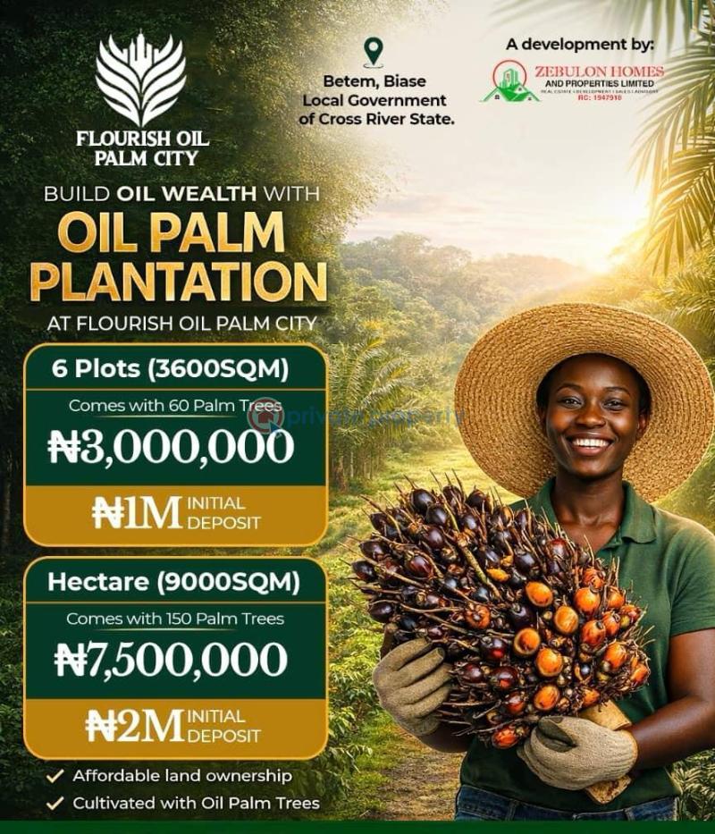 Commercial Land For Sale Flourish Oil Palm City Located Betem Biase Cross River - 0