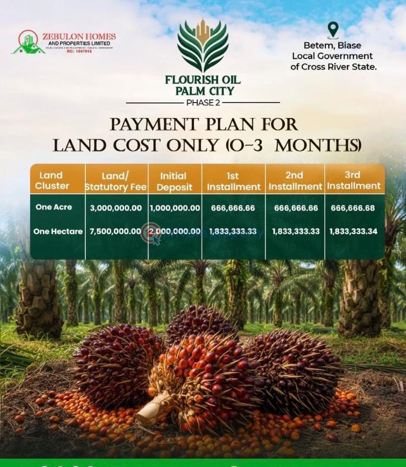 Commercial Land For Sale Flourish Oil Palm City Located Betem Biase Cross River - 2