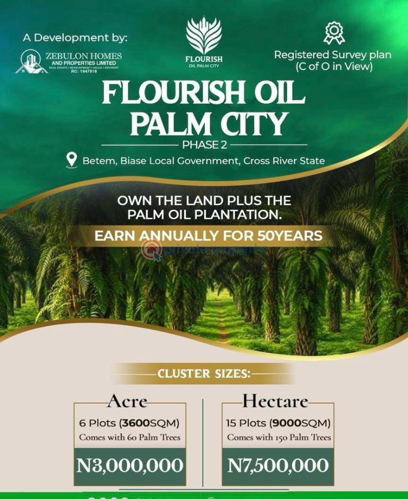 Commercial Land For Sale Flourish Oil Palm City Located Betem Biase Cross River - 3