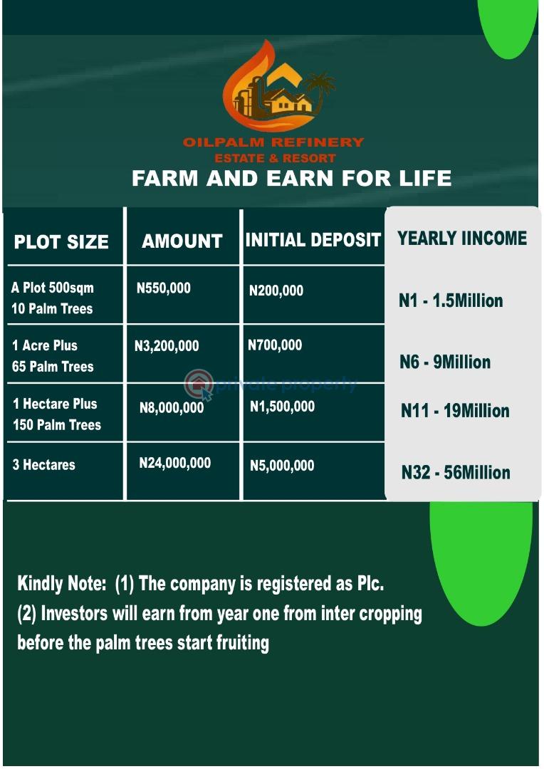 Oilpalm refinery estate and resort - 2 Commercial Land For Sale Ijebu Igbo Express Way Ijebu Ode Ogun - 2