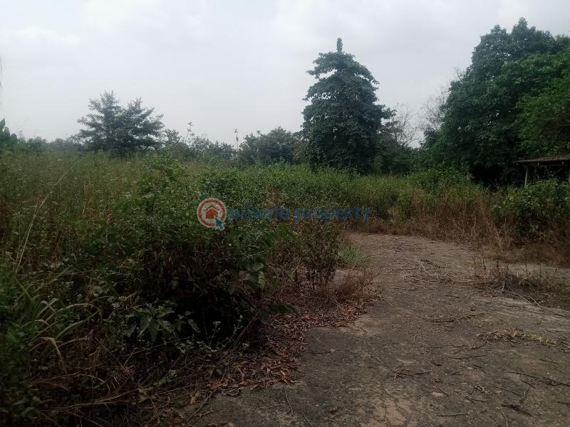 10 bedroom Event Hall For Sale Ogun Ogun area  - 12