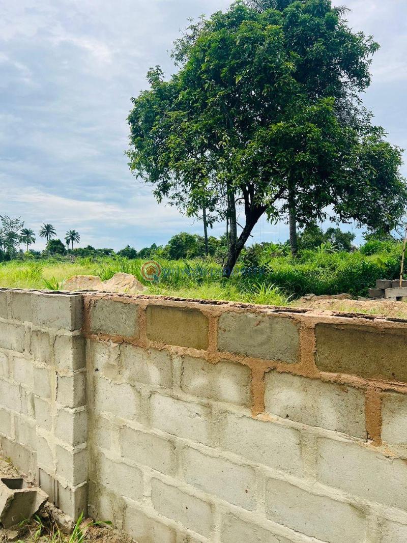 Residential land for sale - 3 Residential Land For Sale Ikorodu Lagos - 3