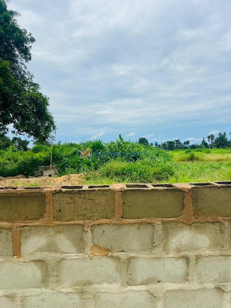 Residential land for sale - 6 Residential Land For Sale Ikorodu Lagos - 6