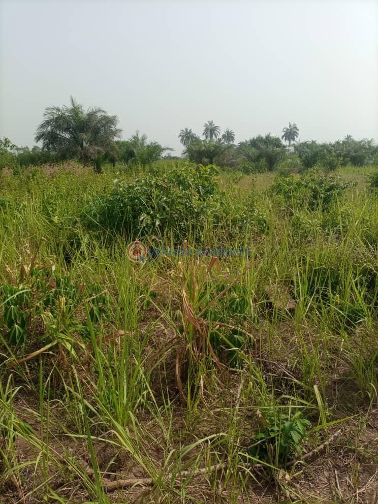 Residential Land For Sale Akindele Axis Pakudi Obada Abeokuta. Abeokuta Ogun - 0