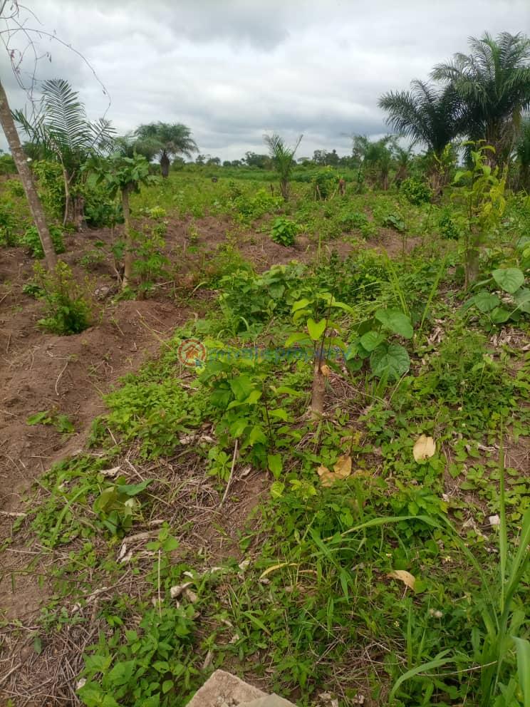 Residential Land For Sale Akindele Axis Pakudi Obada Abeokuta. Abeokuta Ogun - 1