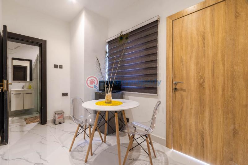 1 bedroom Self Contain Short let Road 203 Banana Island Ikoyi Lagos - 9