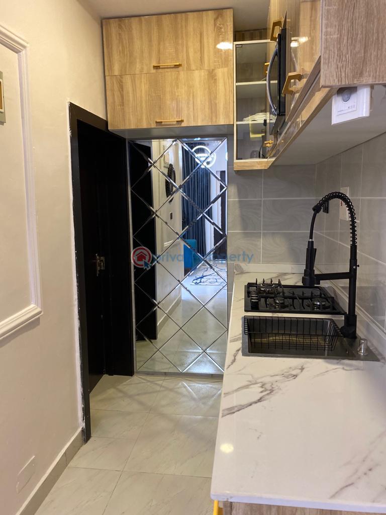 1 bedroom Short Stay Short let Ologolo Lekki Lagos - 2