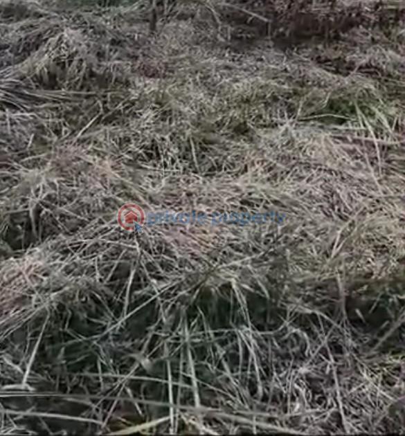Residential Land For Sale Happy Land Estate Sangotedo Ajah Lagos
