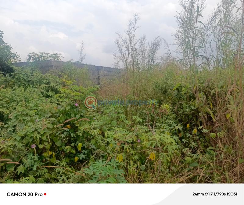 Residential Land For Sale Umoku Avu Of Ph Road Close To Umuguma World Bank Owerri Imo - 6