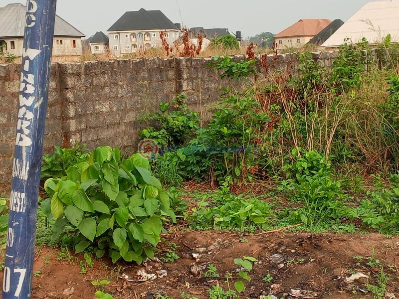 Residential Land For Sale Umuguma On Ndcc Road By Avu Owerri Imo - 13