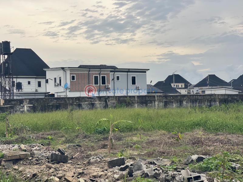 Residential Land For Sale Sars Road Rukpokwu Portharcourt Port Harcourt Rivers - 8