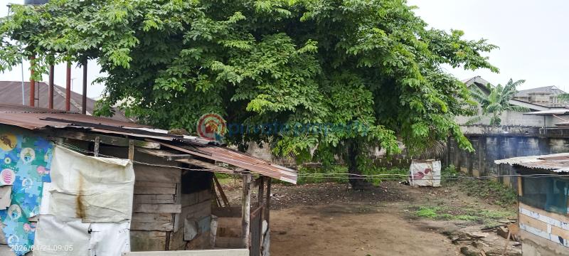 Mixed use Land For Sale Apara Link Road Off Nta Road Magbuoba Port Harcourt Rivers - 2
