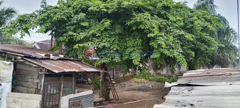 Mixed use Land For Sale Apara Link Road Off Nta Road Magbuoba Port Harcourt Rivers - 3