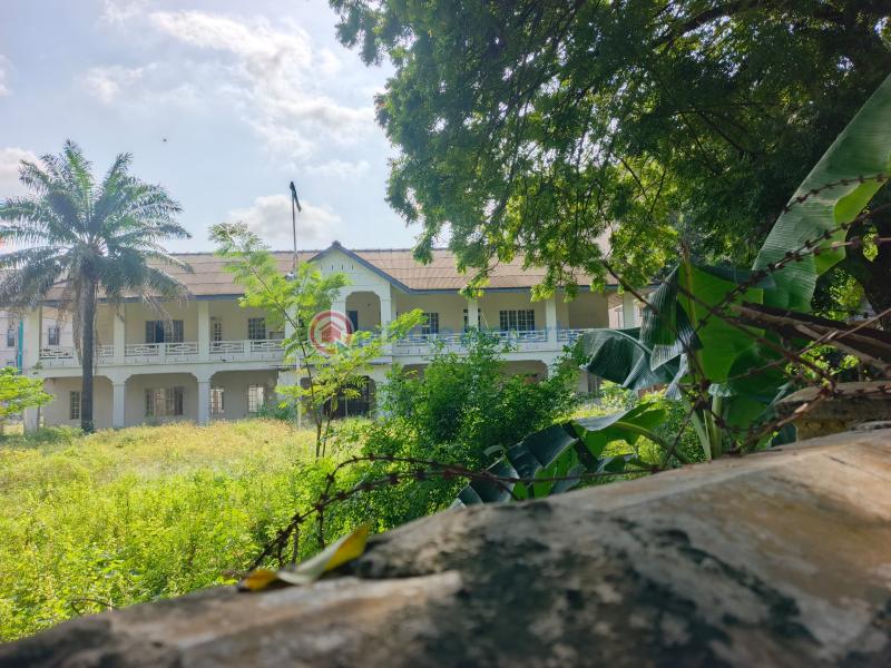 Residential Land For Sale Exclusive Alexander Road Frontage Bourdillon Ikoyi Lagos - 2