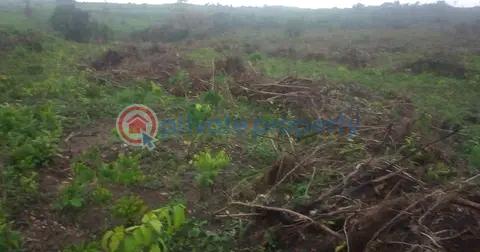 Orakle's garden |  isiwo, epe/ijebu ode express way - 2 Residential Land For Sale ✅ Epe Tollgate ✅ Yaba Tech Epe Campus ✅ Augustine University ✅ The Proposed Lekki International Airport. ✅ The Alaro Satellite City ✅ Yemoji Resort ✅ Vanguard Academy ✅ Christ The King College ✅ Nigerian Breweries. Epe Lagos - 2