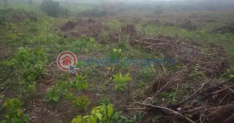 Orakle's garden |  isiwo, epe/ijebu ode express way - 3 Residential Land For Sale ✅ Epe Tollgate ✅ Yaba Tech Epe Campus ✅ Augustine University ✅ The Proposed Lekki International Airport. ✅ The Alaro Satellite City ✅ Yemoji Resort ✅ Vanguard Academy ✅ Christ The King College ✅ Nigerian Breweries. Epe Lagos - 3