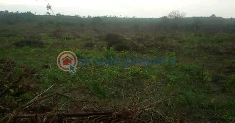 Orakle's garden |  isiwo, epe/ijebu ode express way - 1 Residential Land For Sale ✅ Epe Tollgate ✅ Yaba Tech Epe Campus ✅ Augustine University ✅ The Proposed Lekki International Airport. ✅ The Alaro Satellite City ✅ Yemoji Resort ✅ Vanguard Academy ✅ Christ The King College ✅ Nigerian Breweries. Epe Lagos - 1