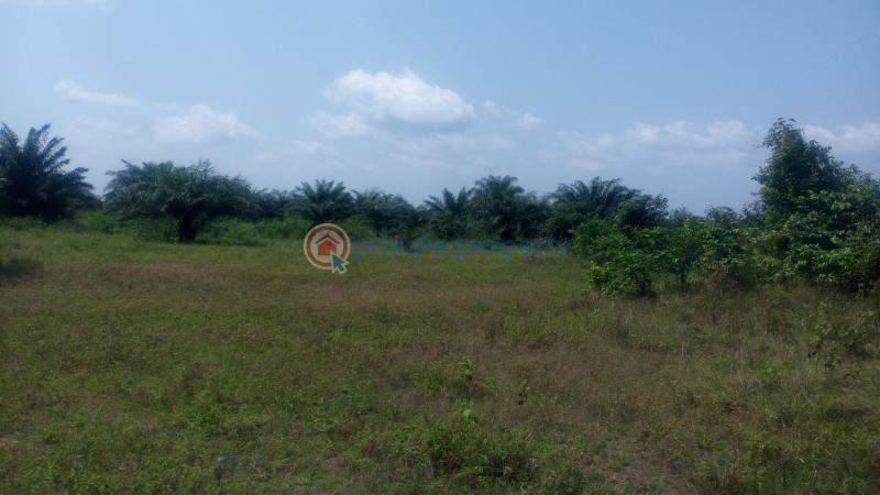 Land For Sale Off Lagos Badagry Expressway, Mowo Age Mowo Badagry Lagos - 2