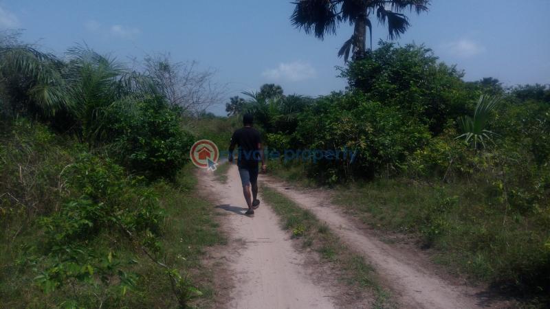 Land For Sale Off Lagos Badagry Expressway, Mowo Age Mowo Badagry Lagos - 9